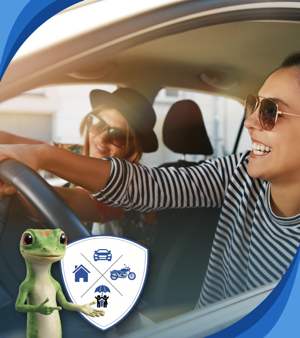 GEICO Auto Insurance